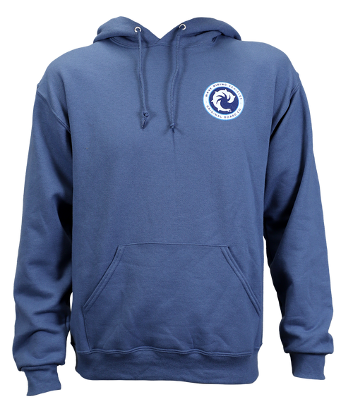 Backdoor P/O Hooded Sweatshirt - Wave Riding Vehicles