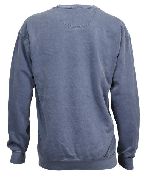 Ringer Crew Sweatshirt - Wave Riding Vehicles