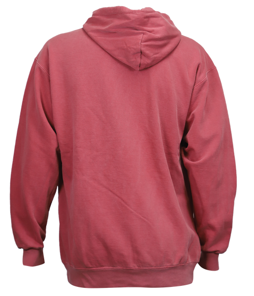 Ringer P/O Hooded Sweatshirt - Wave Riding Vehicles