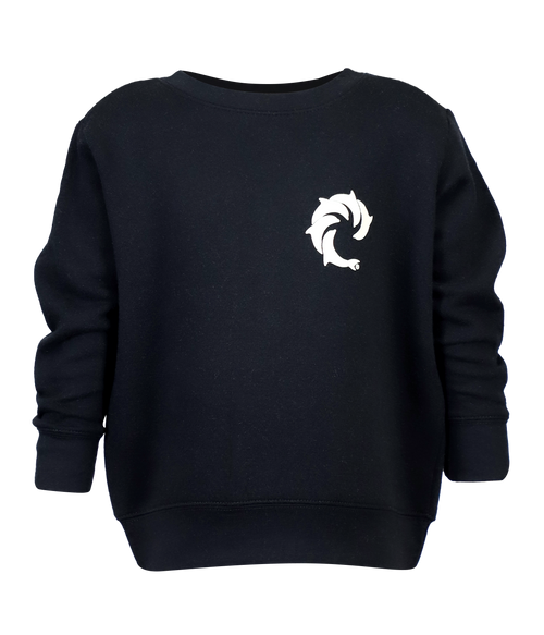 Solid Youth Crew Sweatshirt - Wave Riding Vehicles